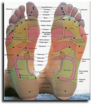 Reflexology Foot Chart